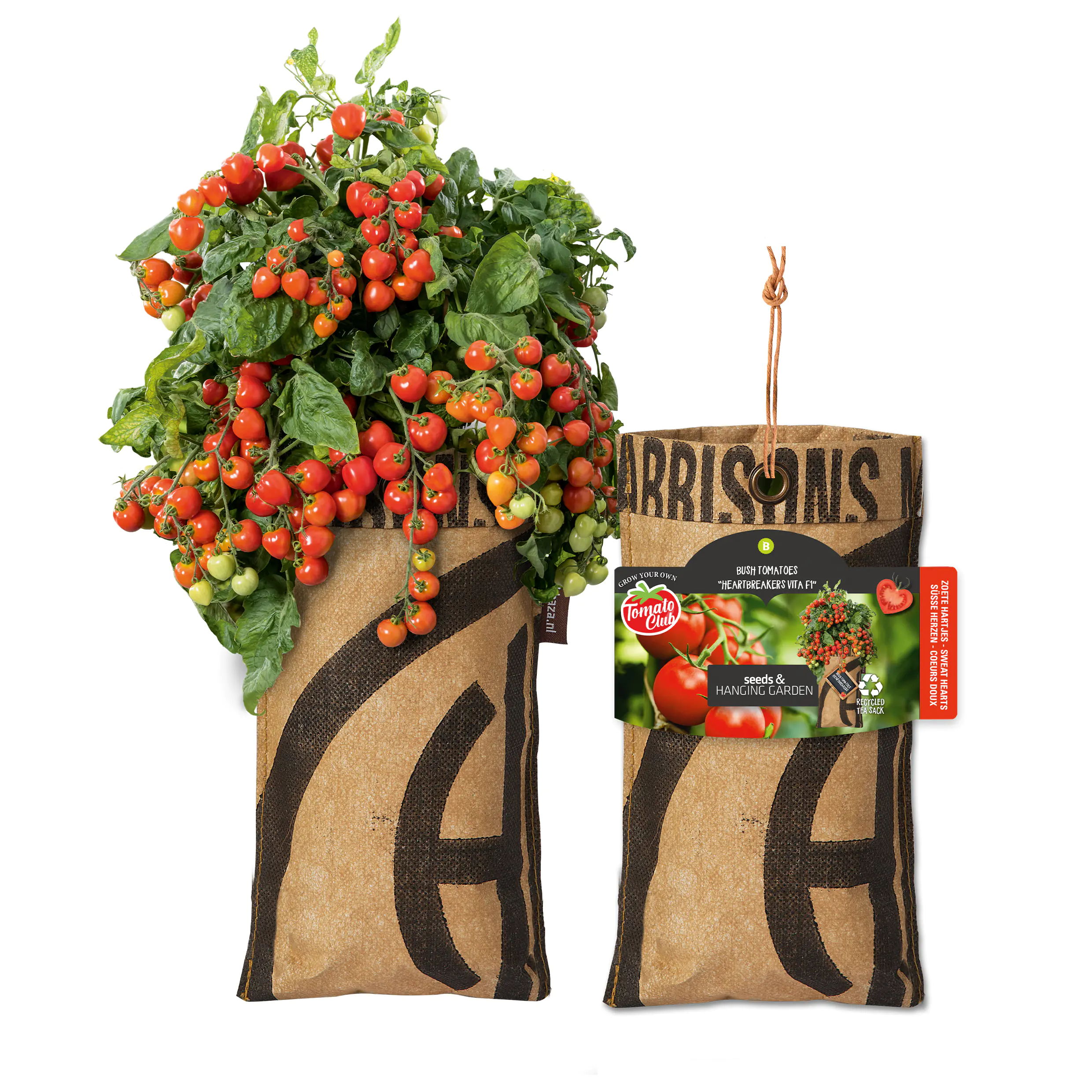 Baza Seeds hängender Garten Strauchtomate Heartbreakers 