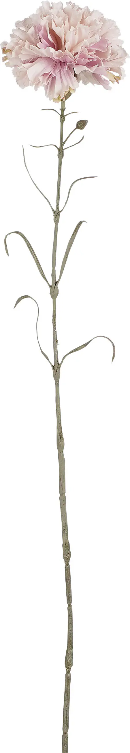 Mica Nelke rosa Polyester 66 cm