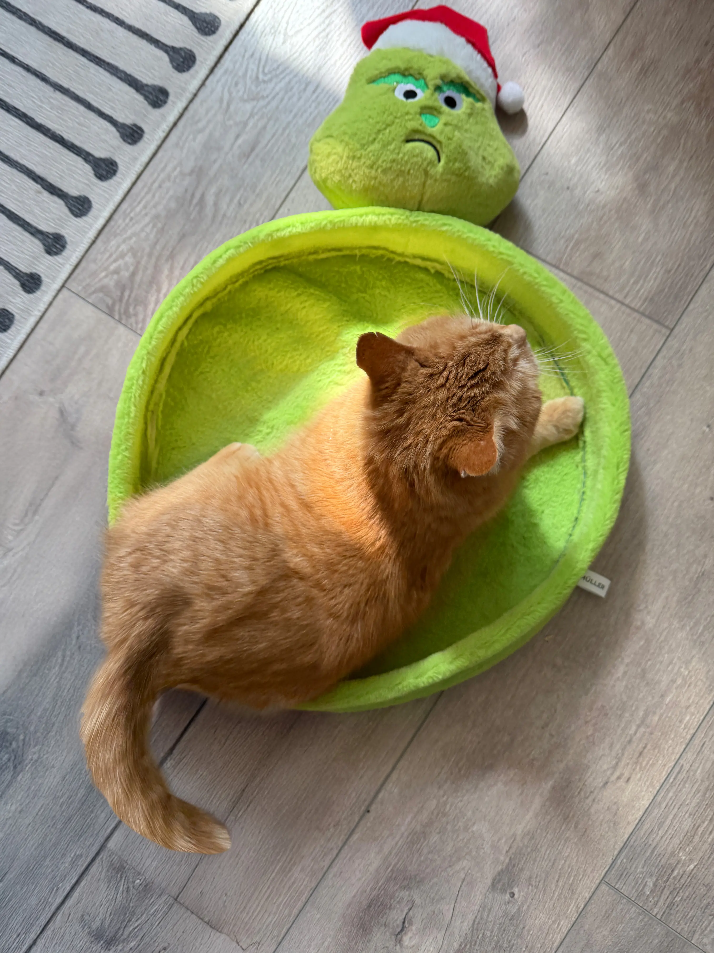 Aumüller Katzenspielzeug Weihnachtsmuffel Kratzpappe 58 cm grün Aumüller Katzenspielzeug Weihnachtsmuffel Kratzpappe 58 cm grün