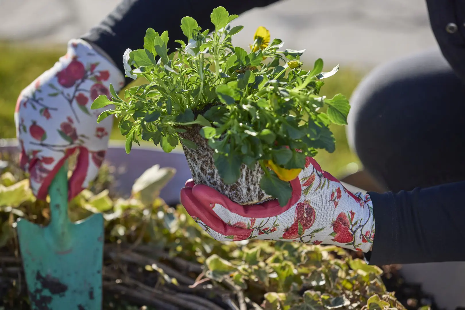 Handschuh Gardeluxe Pomegranate