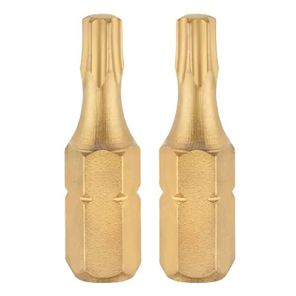 Connex Bit TX 20 Titan-Nitrid 2 Stück