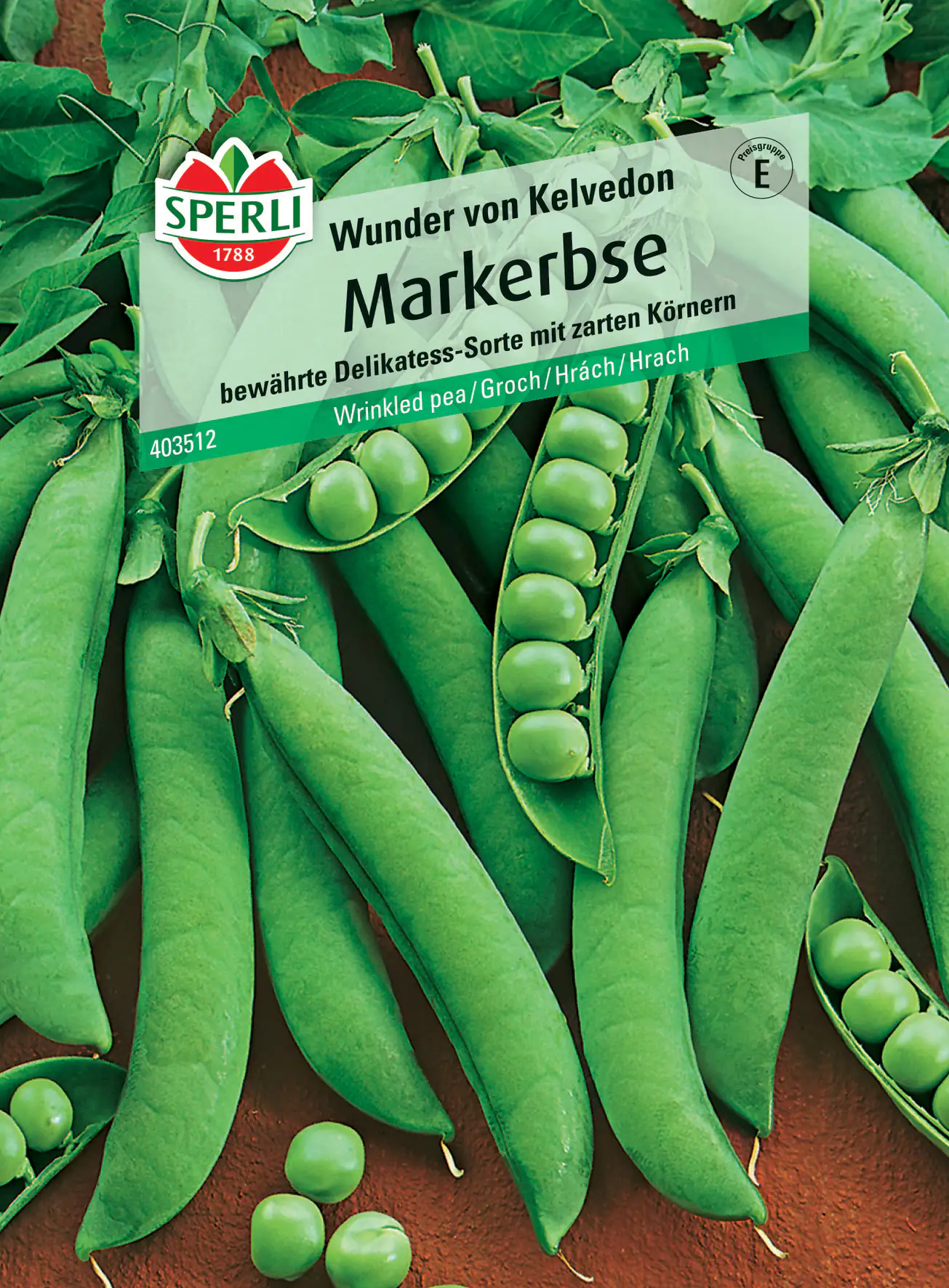 Sperli Markerbse Wunder von Kelvedon