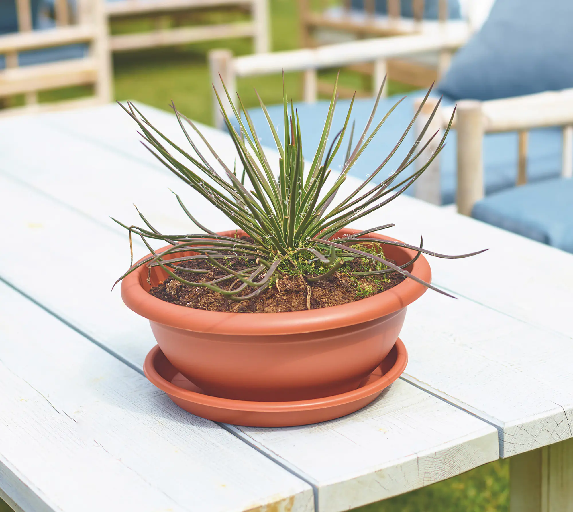 Artevasi Blumentopfuntersetzer Redondo Kunststoff rund terrakotta matt Ø 35 cm