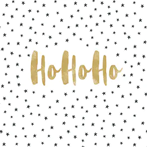 Braun & Company Servietten Cocktail Hoho Christmas 25 x 25 cm - 20er Pack