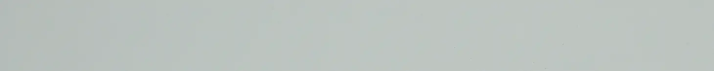 Melamin-Kante Lichtgrau 500 cm, 20 x 0,3 mm