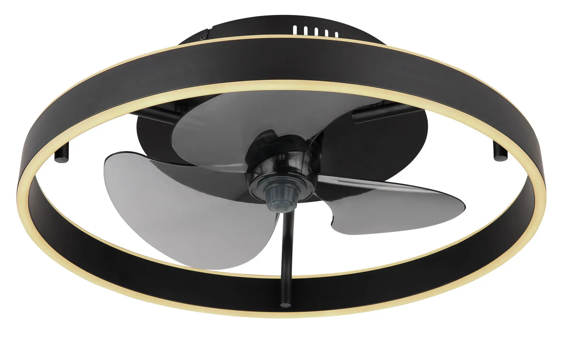 Globo Deckenventilator Conway Ø 50 cm 35 W schwarz CCT