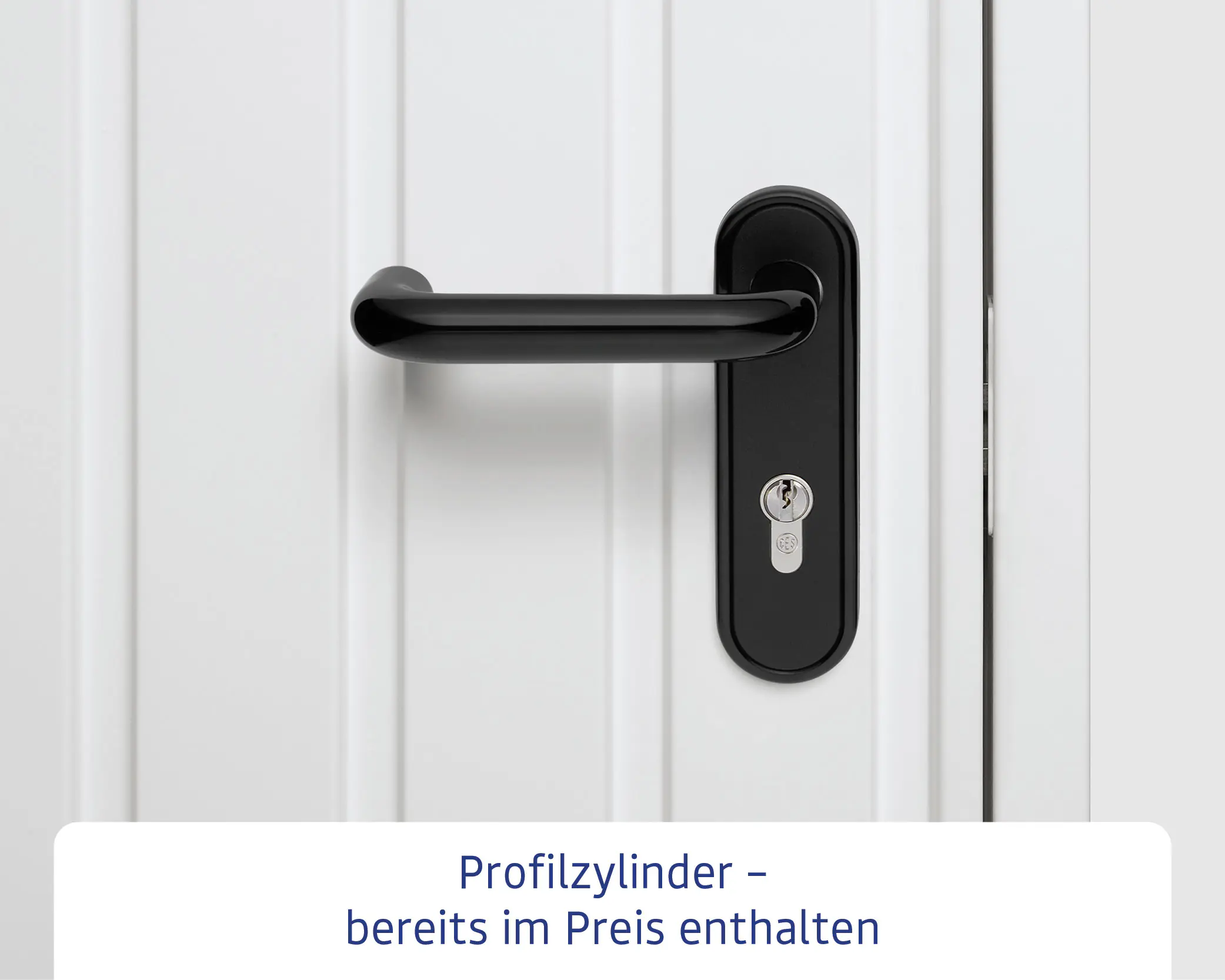 EcoStar Gerätehaus Elegant-P Typ 1 anthrazitgrau 247,9 x 153 x 228,6 cm