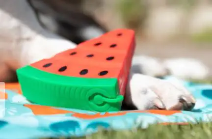 Nobby Hundespielzeug Melone Silikon 12 cm