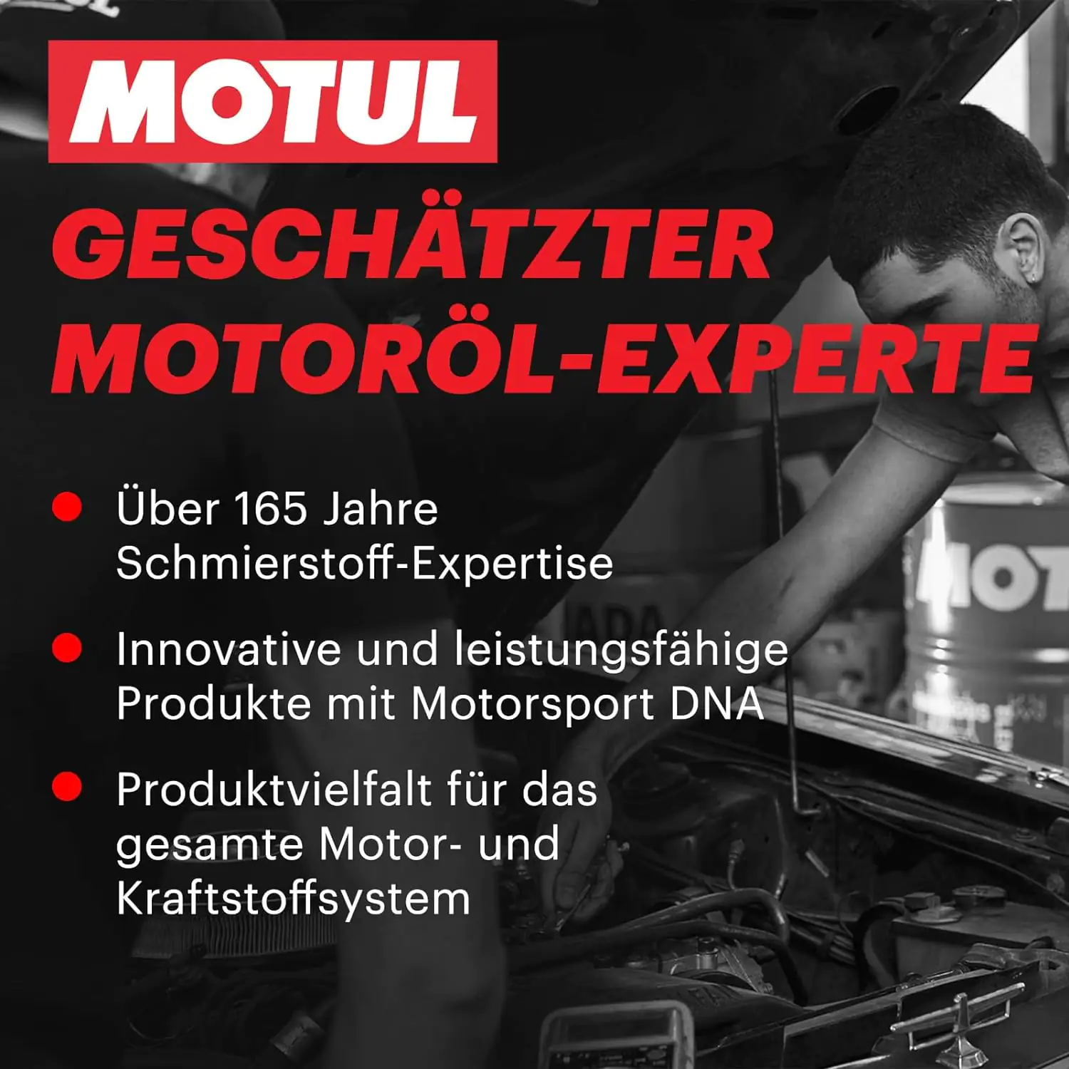 Motul Hydrostössel Schutz 300ml Motul Hydrostössel Schutz 300ml