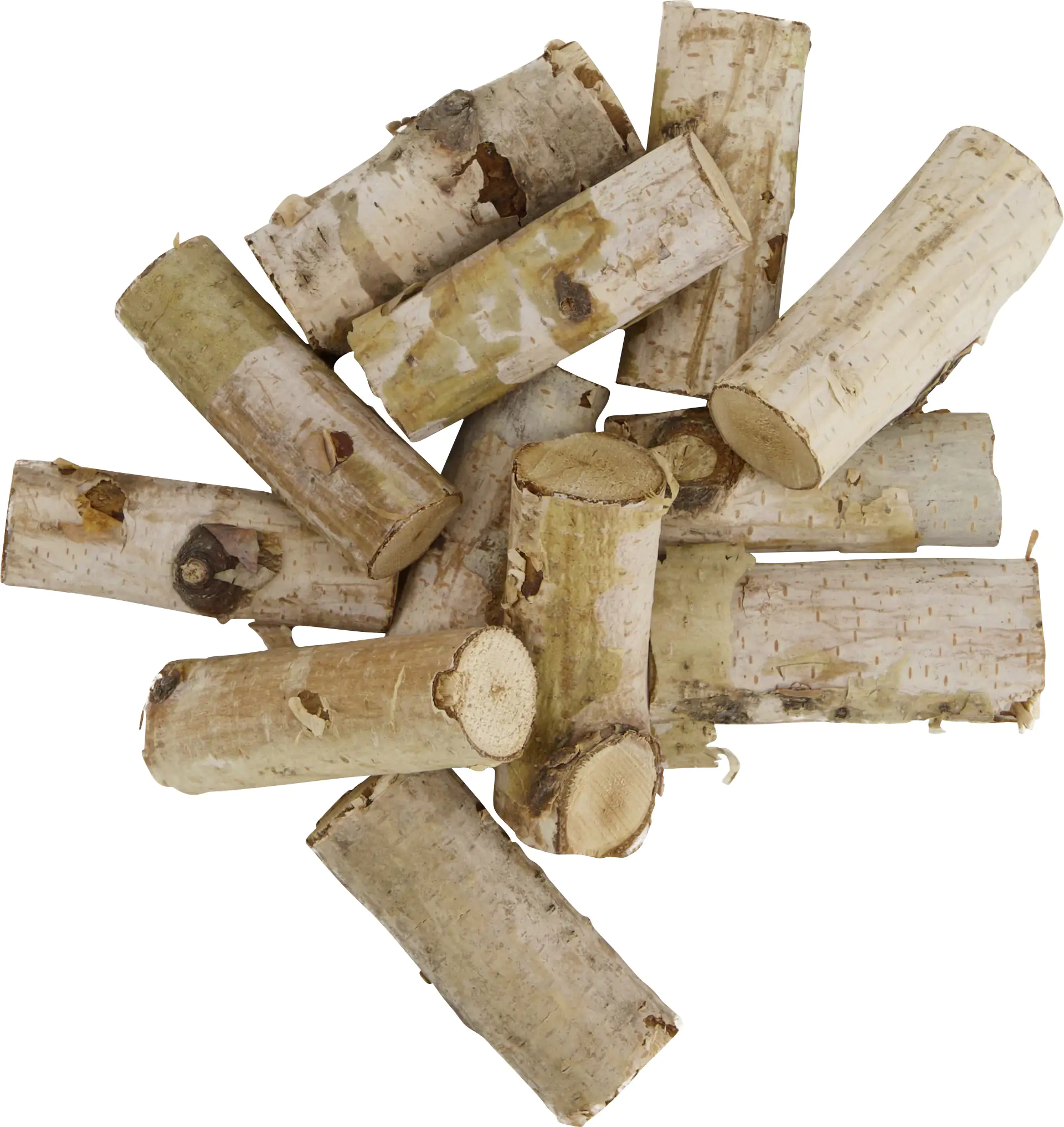 Dijk Holzscheiben Ø 5 cm 12 Stück