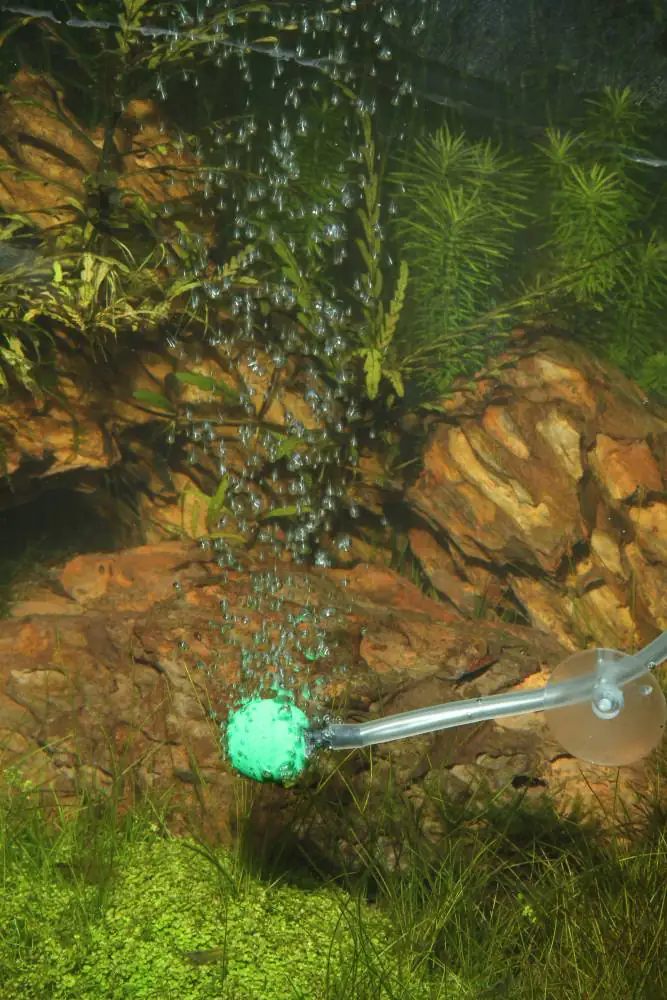 JBL ProSilent Aeras Micro S2 Ausströmerstein-Set für feine Luftblasen