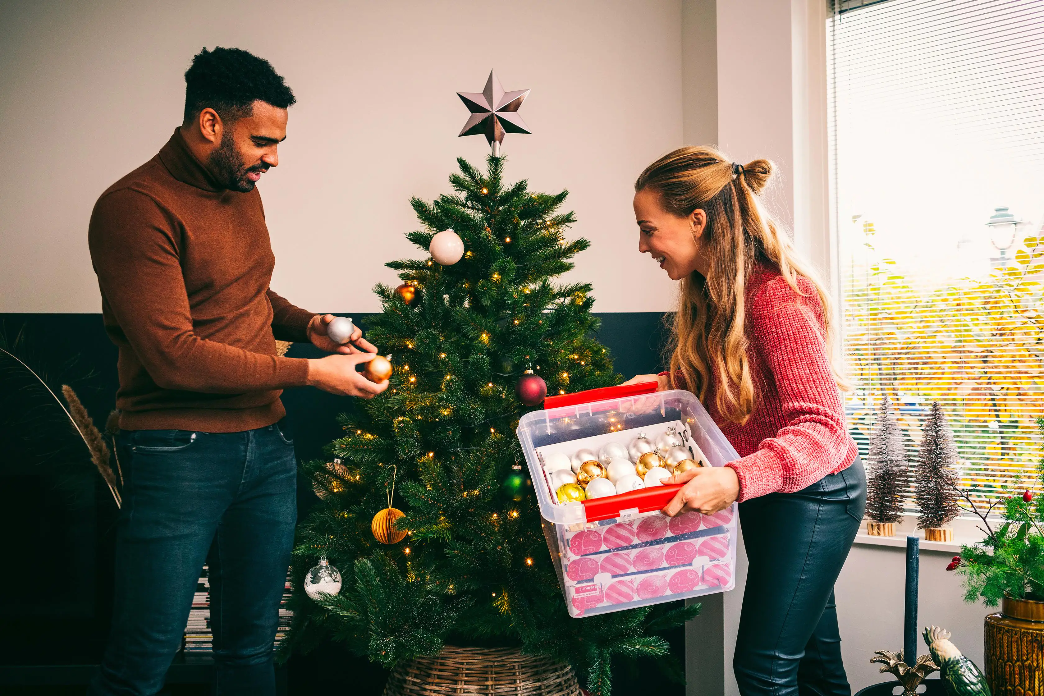 Sunware Weihnachtsbox Q-line 26L mit Einsatz für 75 Kugeln transparent rot Sunware Weihnachtsbox Q-line 26L mit Einsatz für 75 Kugeln transparent rot