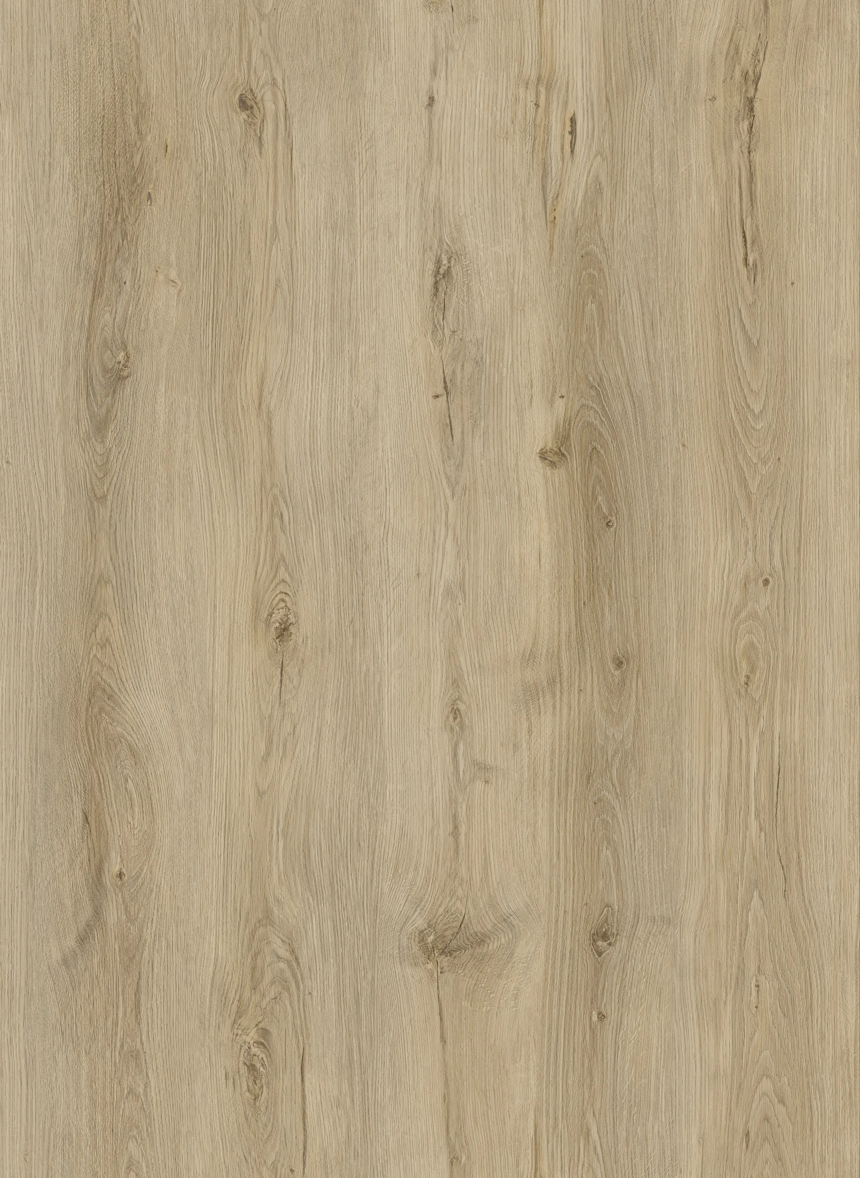 TrendLine Vinylboden Eiche Landhausdiele mit Trittschalldämmung TrendLine Vinylboden Eiche Landhausdiele mit Trittschalldämmung