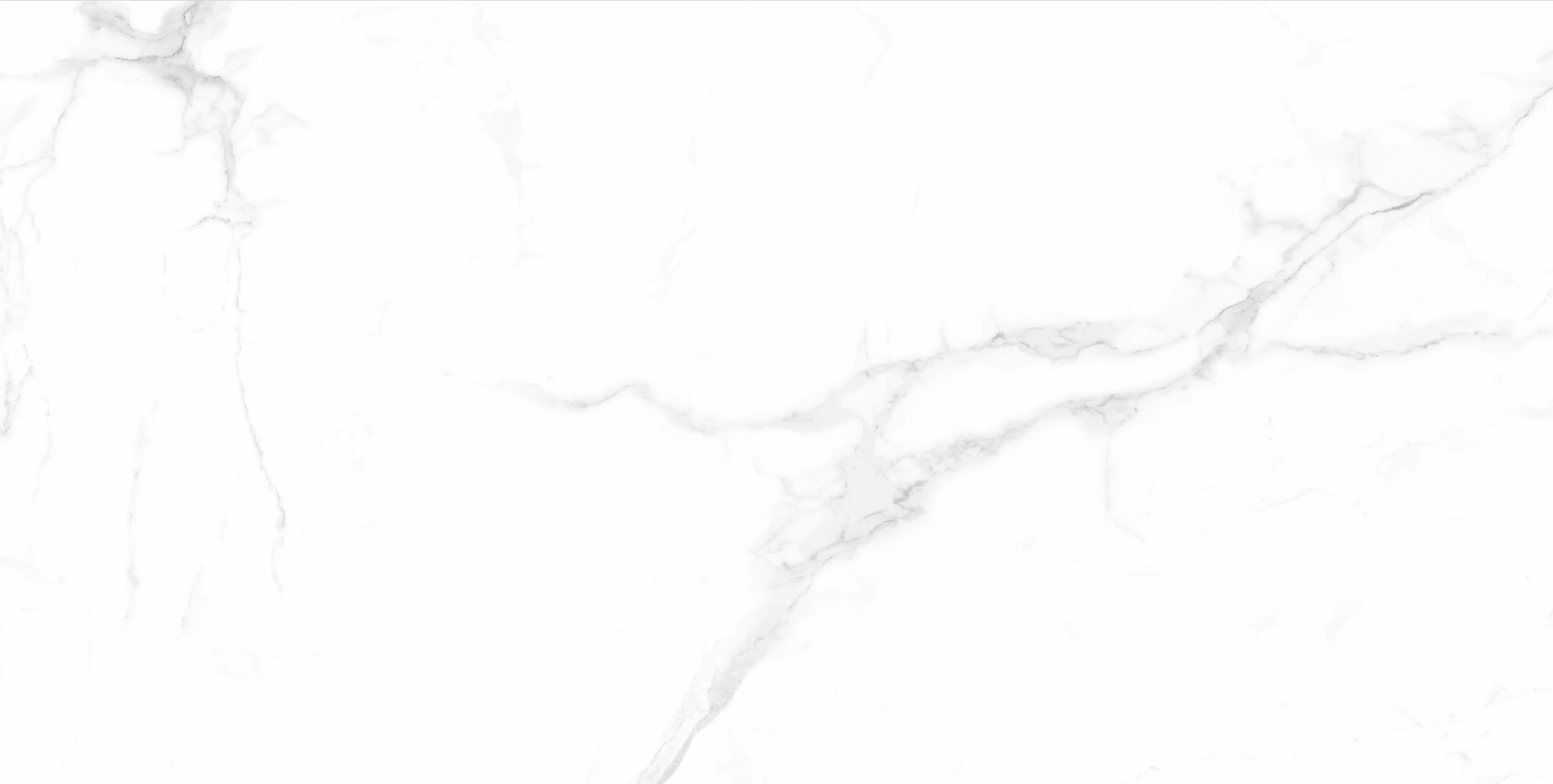 Bodenfliese Feinsteinzeug Opus 60 x 120 cm white