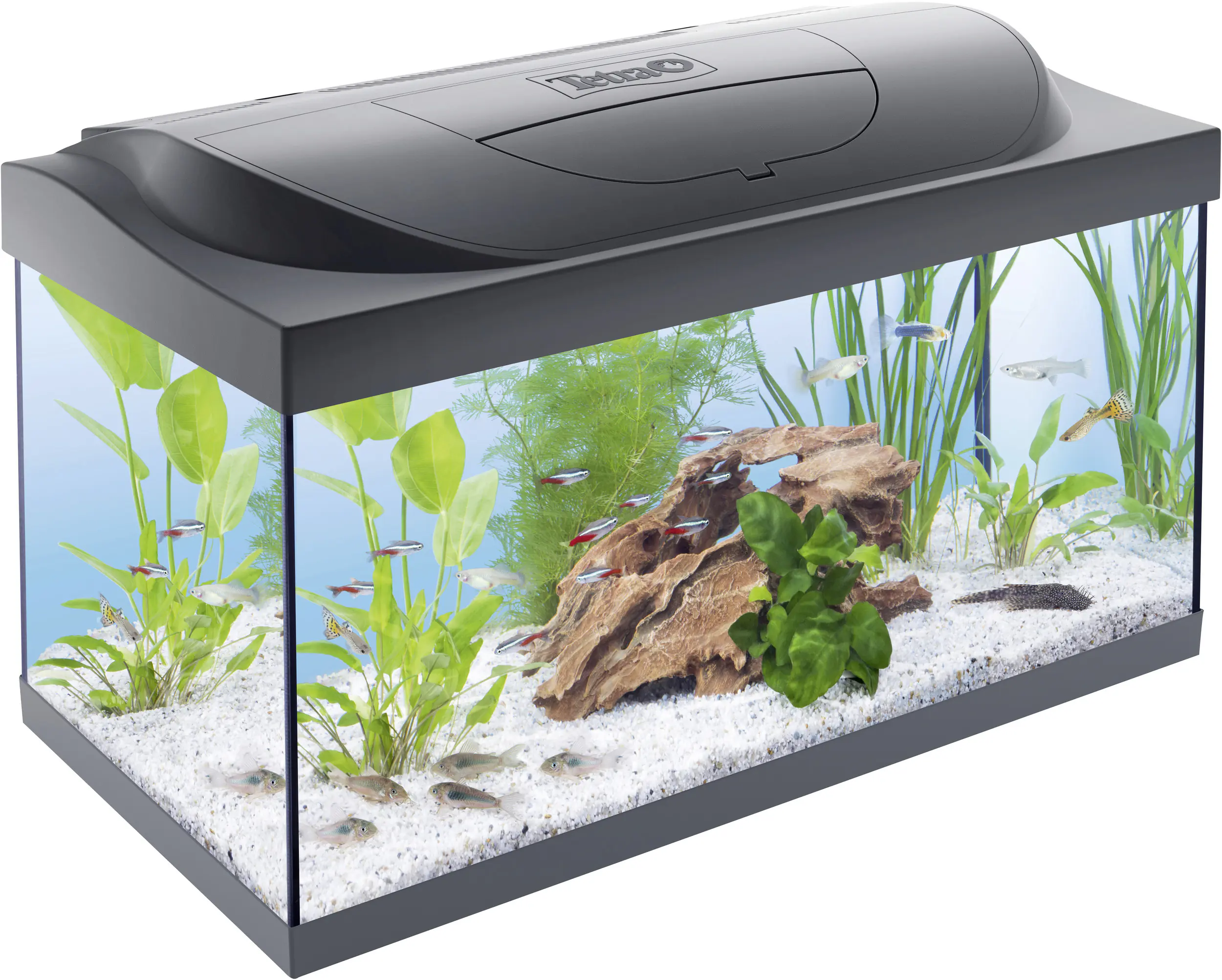 Tetra Aquarium-Komplettset LED Starter Line 54 L