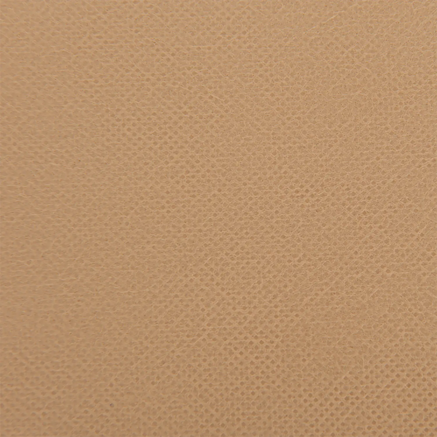 Windhager Winter-Vlies Protect 5 x 2 m, Windhager Winter-Vlies Protect 5 x 2 m,