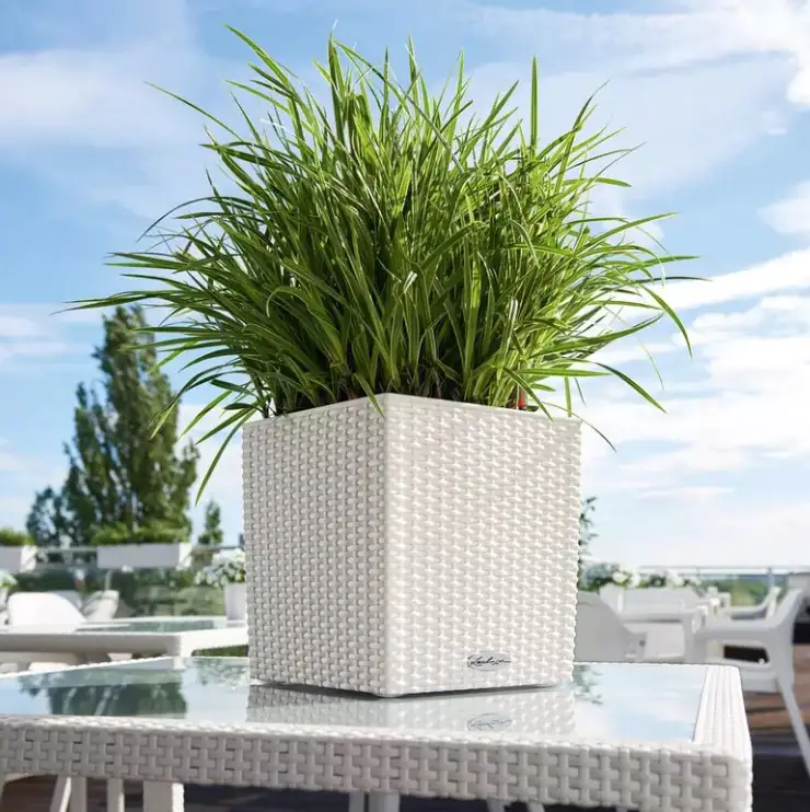 Lechuza Pflanzgefäß Cube Cottage 30 lichtgrau