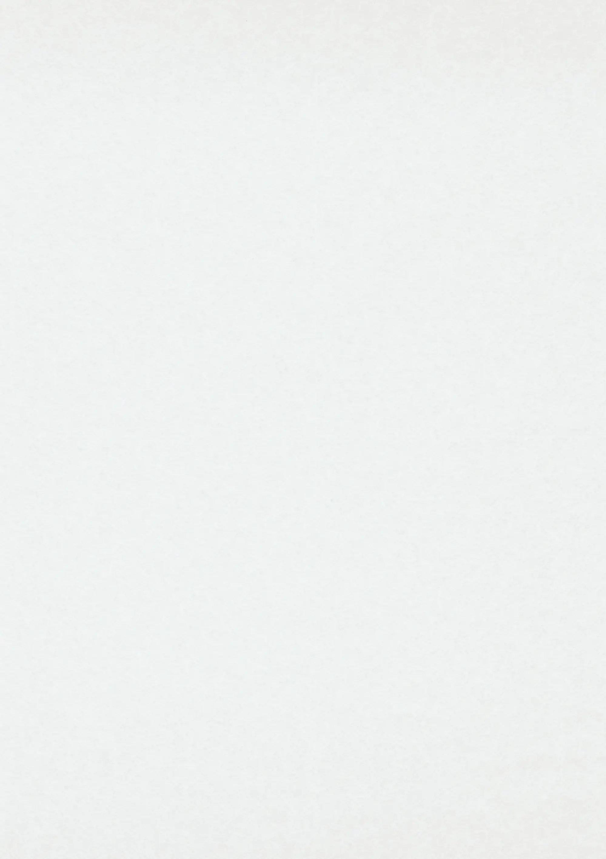 Erismann Glatte Wand Profi-Vlies weiß 25 x 0,75 m