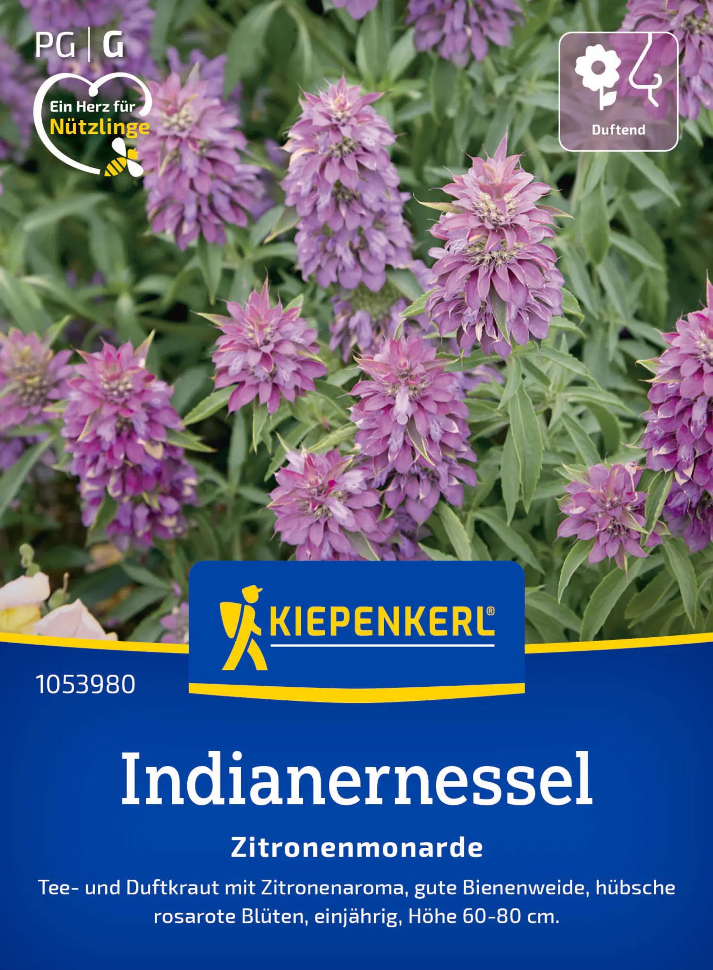 Kiepenkerl Saatgut Indianernessel Zitronenmonarde für ca. 100 Pflanzen