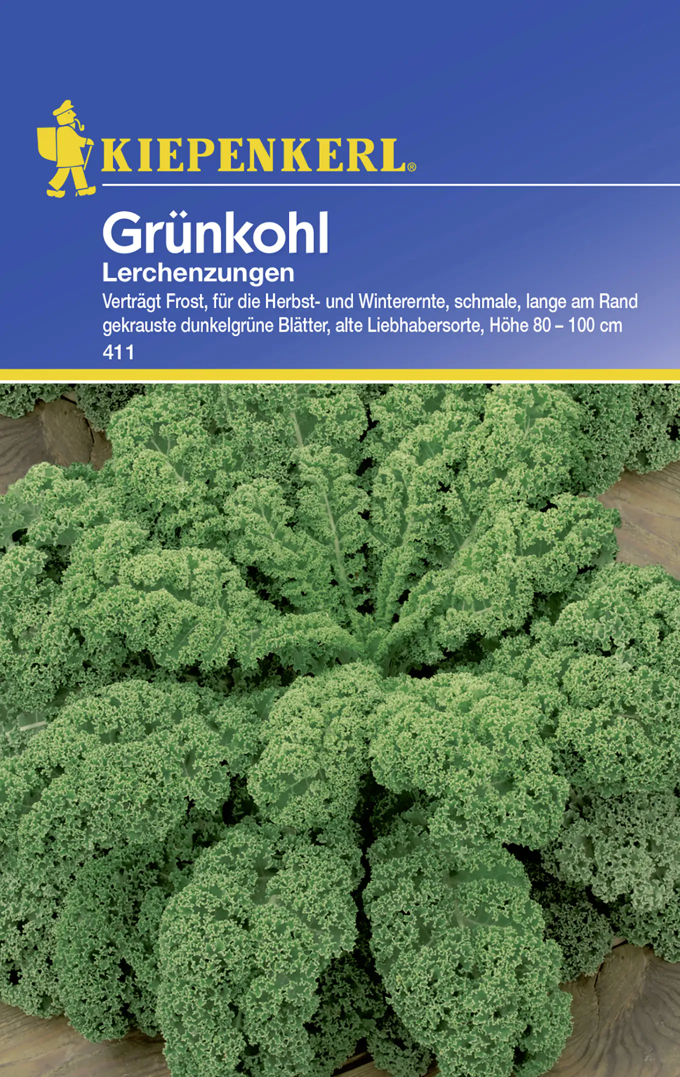Kiepenkerl Grünkohl Lerchenzungen Brassica oleracea var. sabellica, Inhalt: ca. 100 Pflanzen