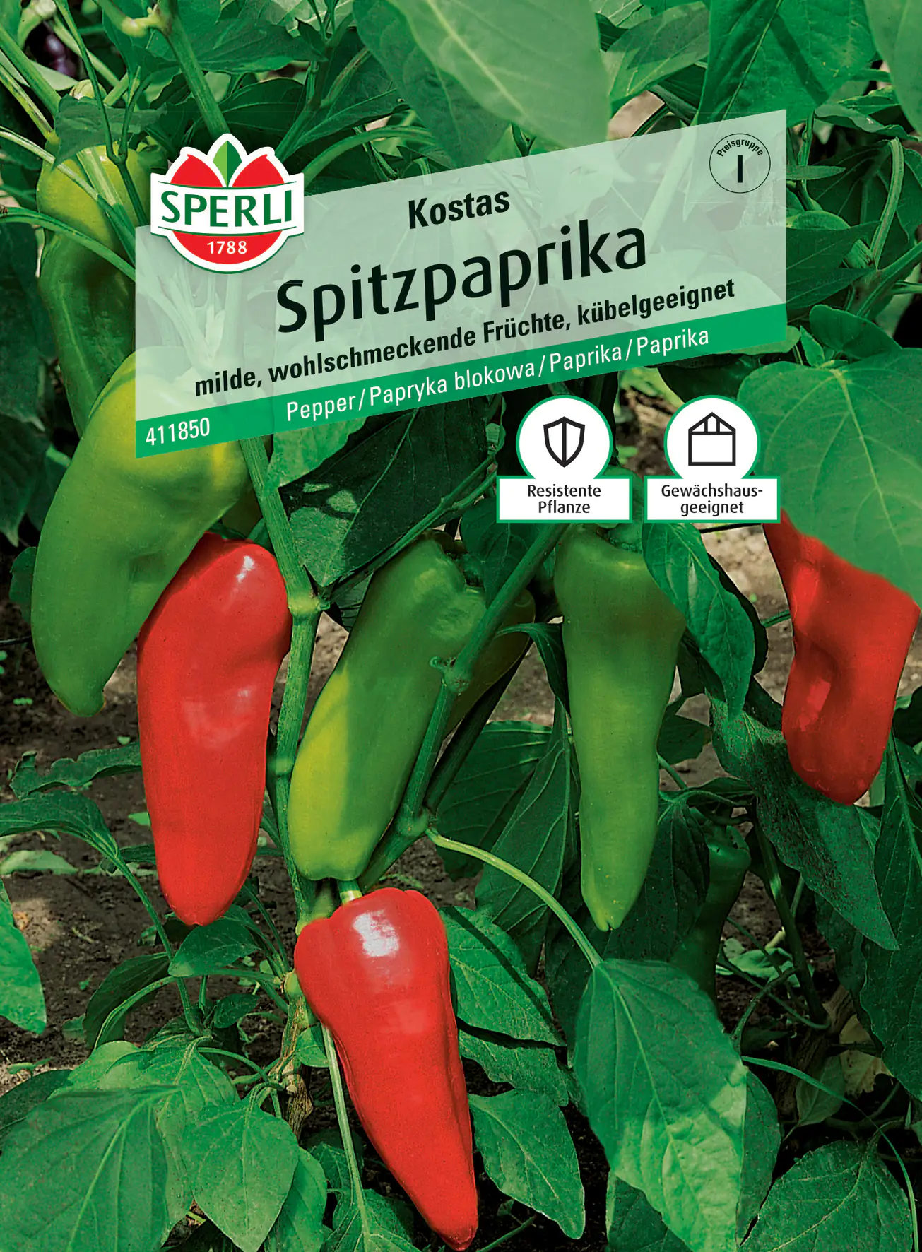 Sperli Spitzpaprika Kostas F1 Sperli Spitzpaprika Kostas F1