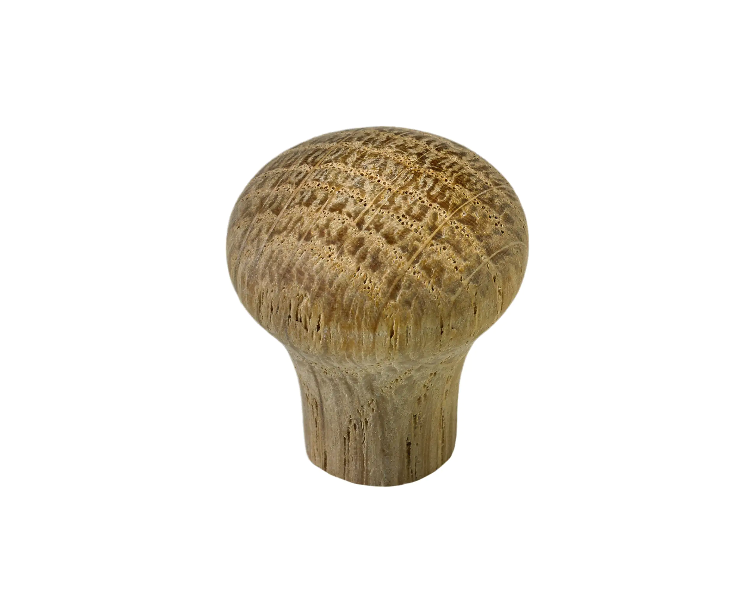 Hettich Möbelknopf Eiche roh Ø 22,0 mm - 1 Stück