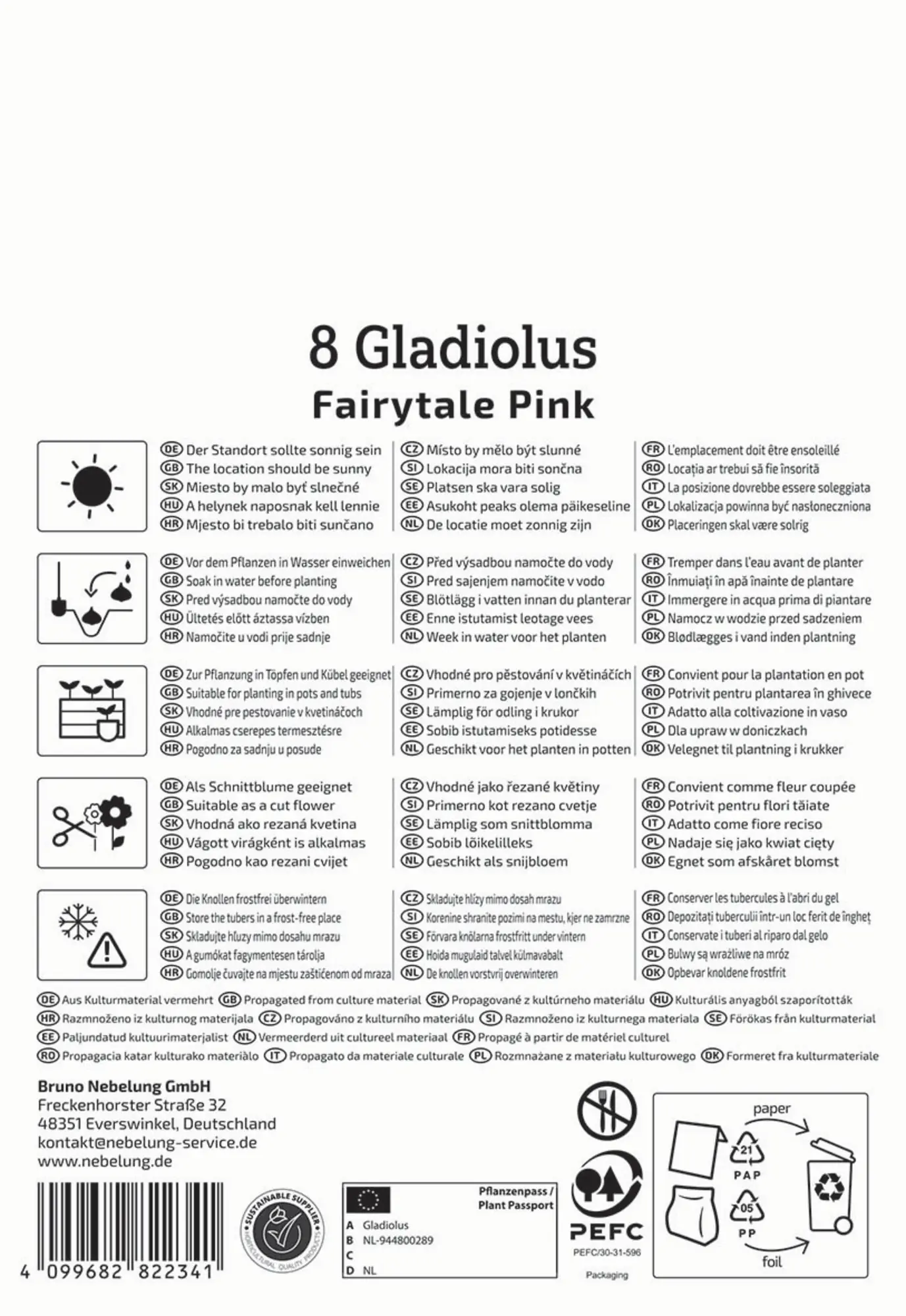 Kiepenkerl Frühjahrsblumenzwiebel Gladiole Fairytale Pink 8 Stück