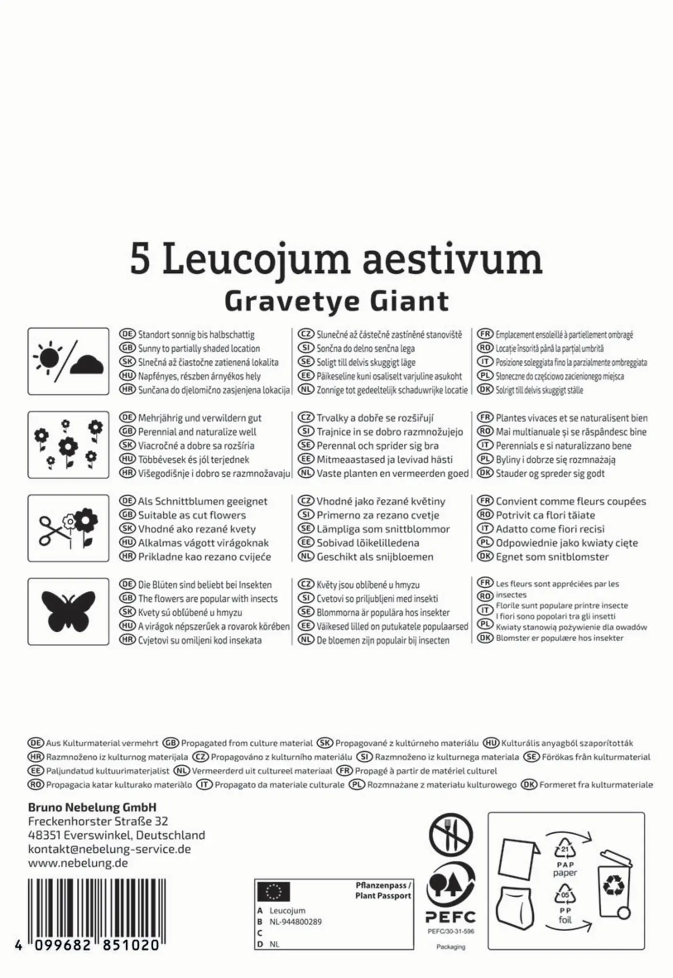 Kiepenkerl Herbstblumenzwiebel Profi-Line Sommerknotenblume Gravetye Giant 5 Stück