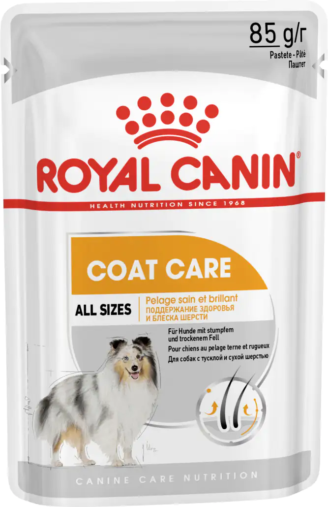 9003579009420 Royal Canin Hundefutter Coat Care Mousse 85 g