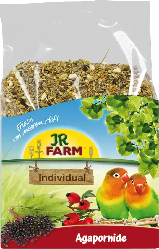 4024344084065 JR Birds Individual Agapornide