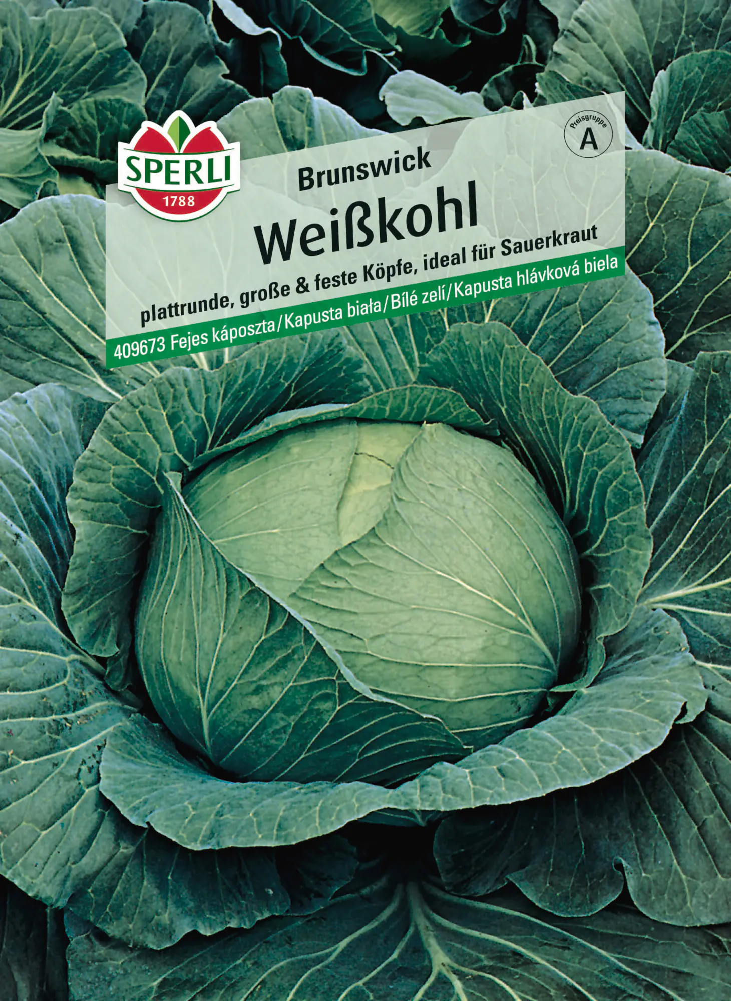 Sperli Saatgut Weißkohl Brunswick für ca. 120 Pflanzen