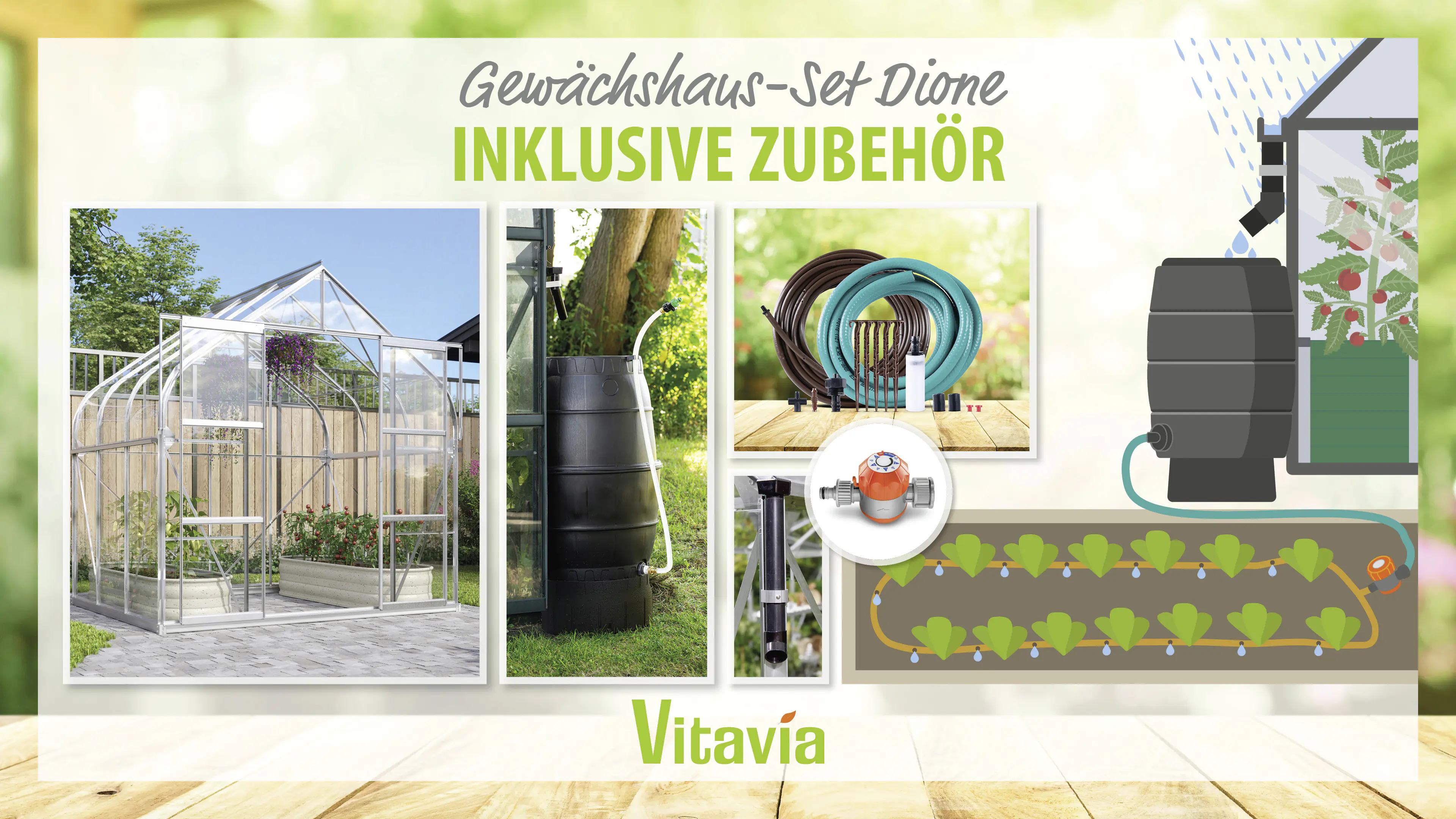 Vitavia Gewächshaus-Set-Set Dione 5000 ESG 3 mm alu 254 x 192 cm