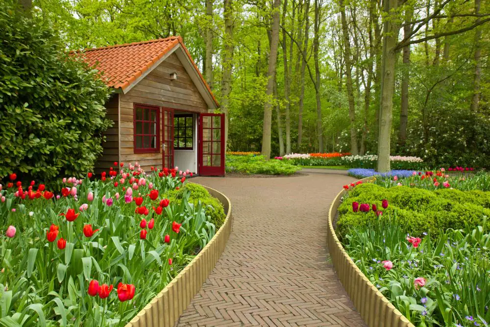 Rollboarder 20 cm Ø 6 cm, 250 x 20 cm, kesseldruckimprägniert