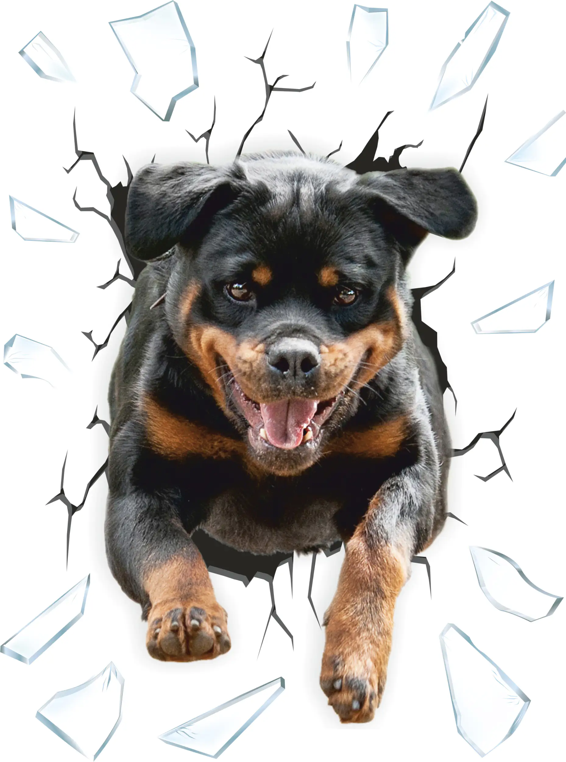 Hermann Schütz Aufkleber Einschussloch Motiv Rottweiler 200x270mm Hermann Schütz Aufkleber Einschussloch Motiv Rottweiler 200x270mm