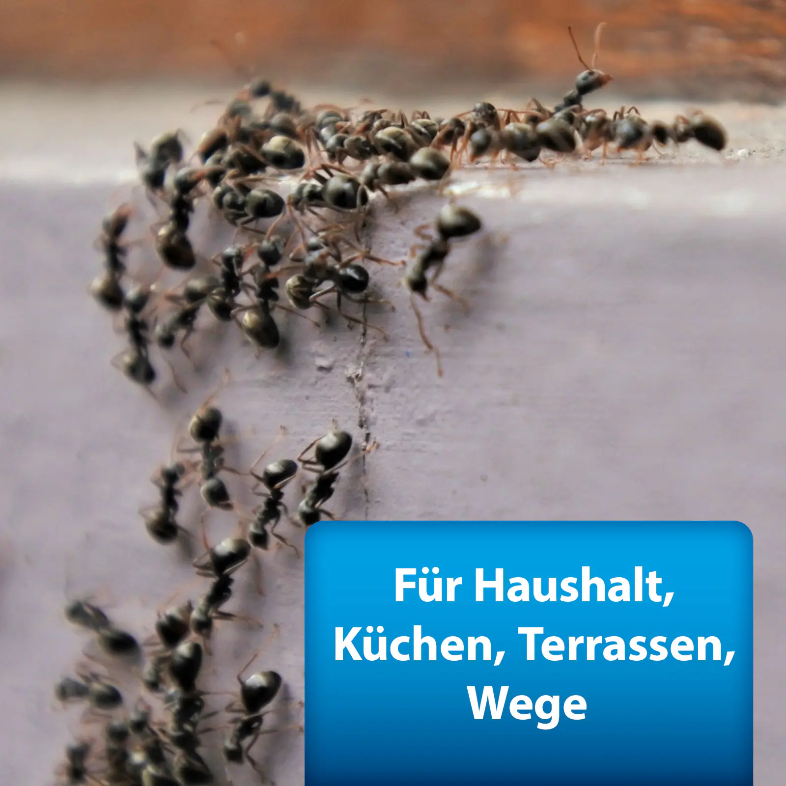 Ardap Pro Ameisenspray 400 ml