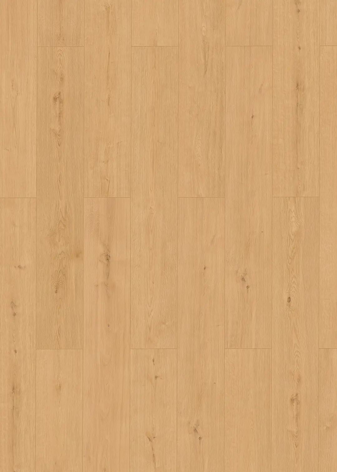 Classen Vinyl Designboden Ceramin Floors Tera Banff Oak