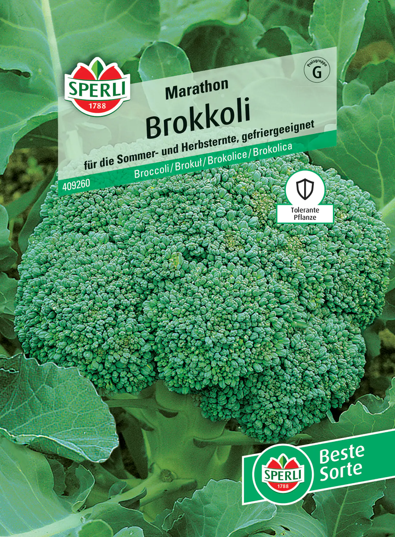 Sperli Brokkoli Marathon F1