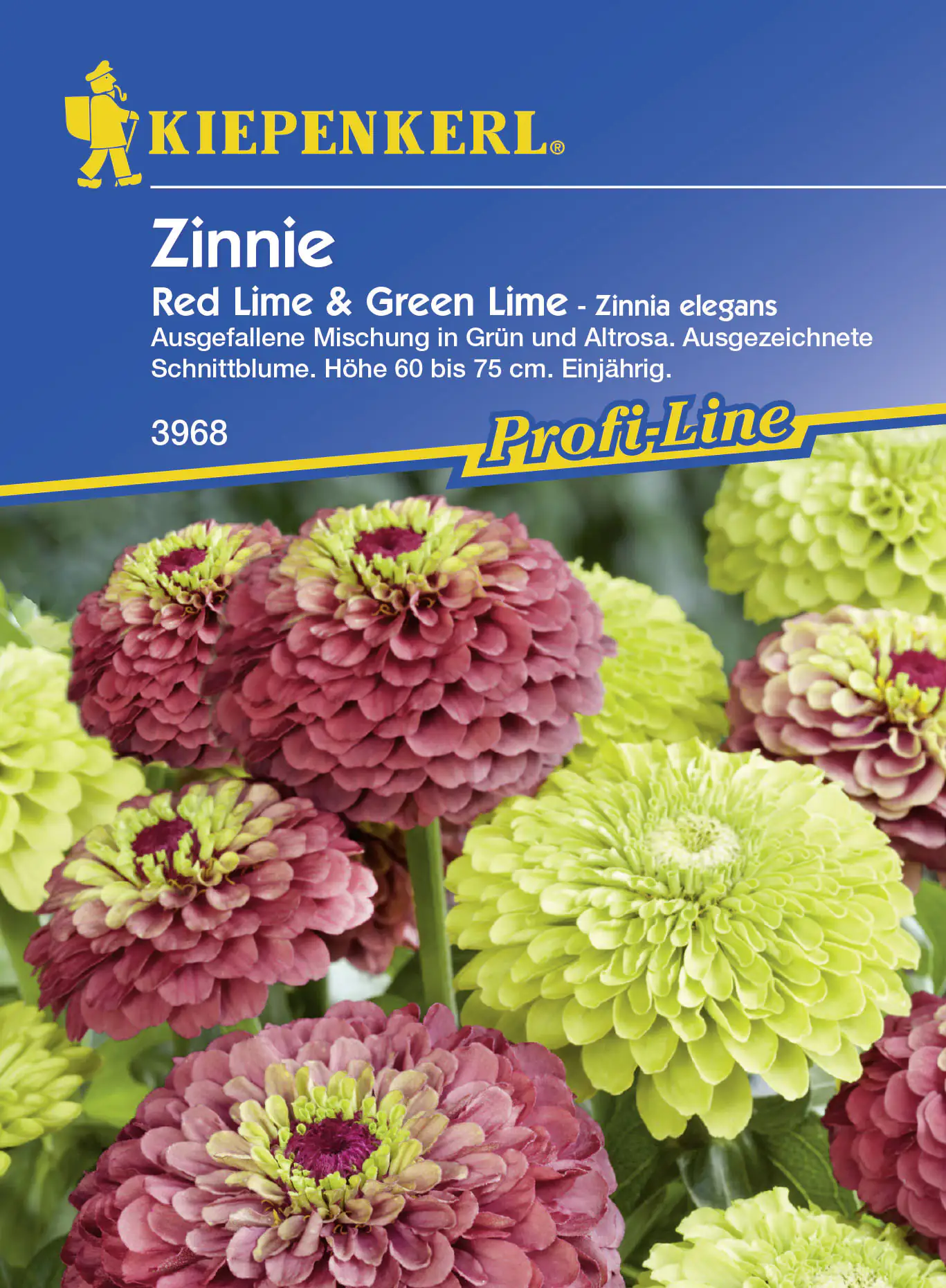 Kiepenkerl Zinnie Red Lime + Green Lime Zinnia angustifolia, Inhalt: ca. 20 Pflanzen