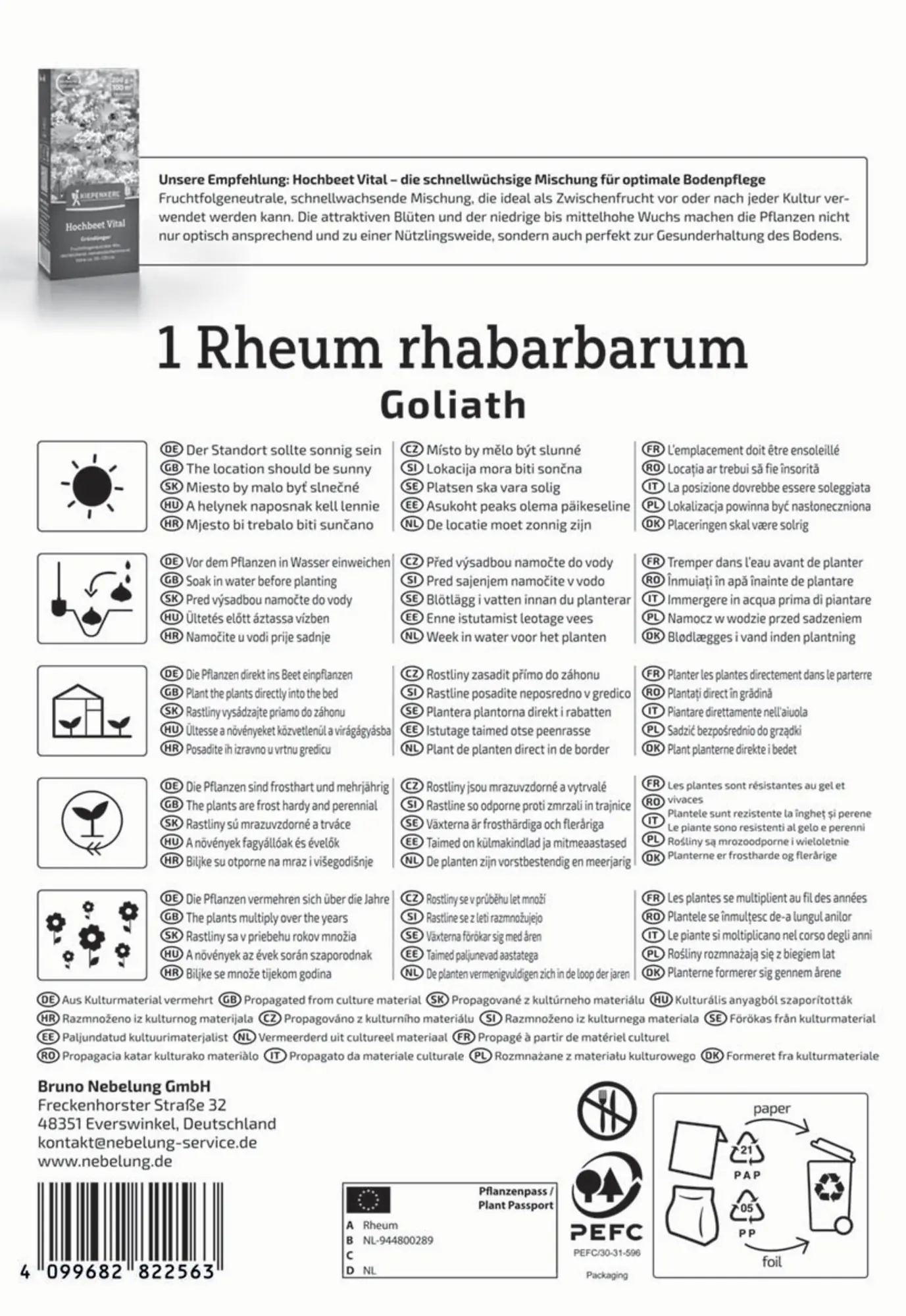 Kiepenkerl Pflanzgut Rhabarber Goliath Rheum rhabarbarum 1 Stück