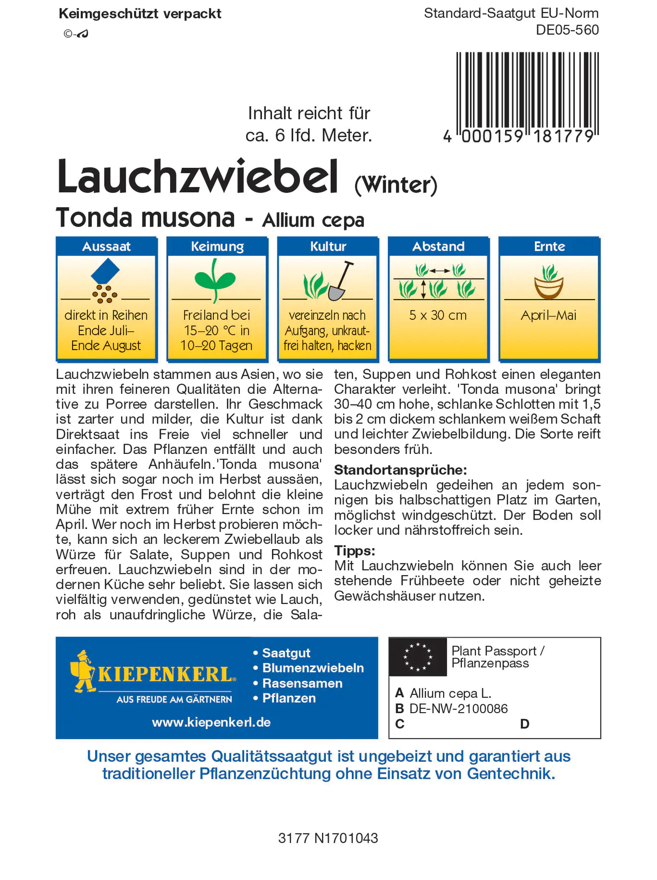 Kiepenkerl Winterlauchzwiebel Tonda musona