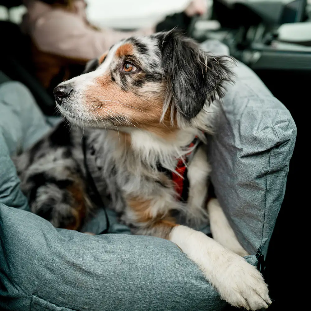 Nobby Hunde Autositz & Reisebett Bena hellgrau Nobby Hunde Autositz & Reisebett Bena hellgrau