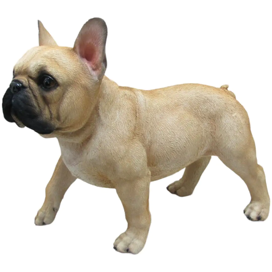 Dekofigur Französische Bulldogge stehend 36 x 30 x 16 cm beige