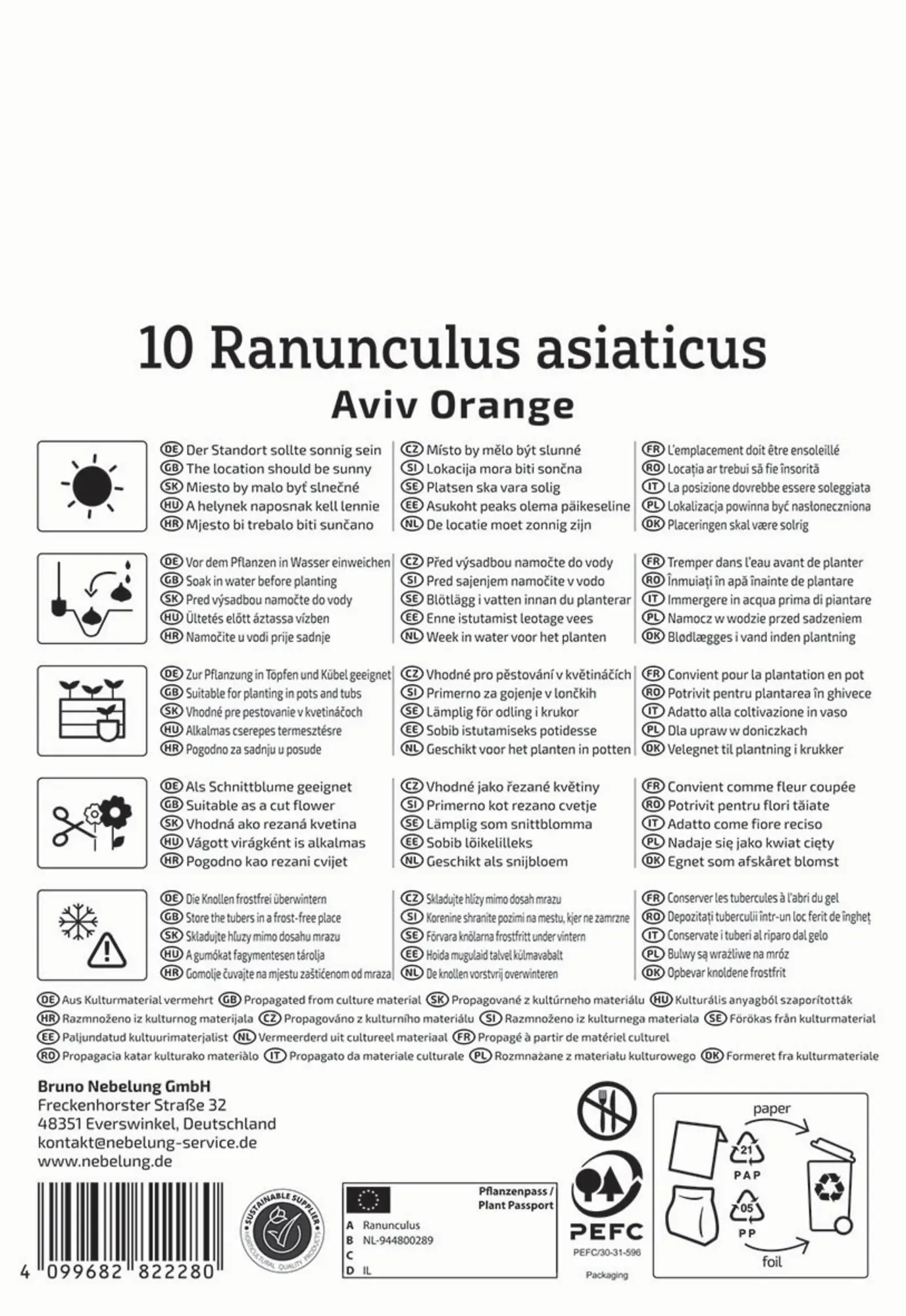 Kiepenkerl Frühjahrsblumenzwiebel Ranunkeln Aviv Orange 10 Stück