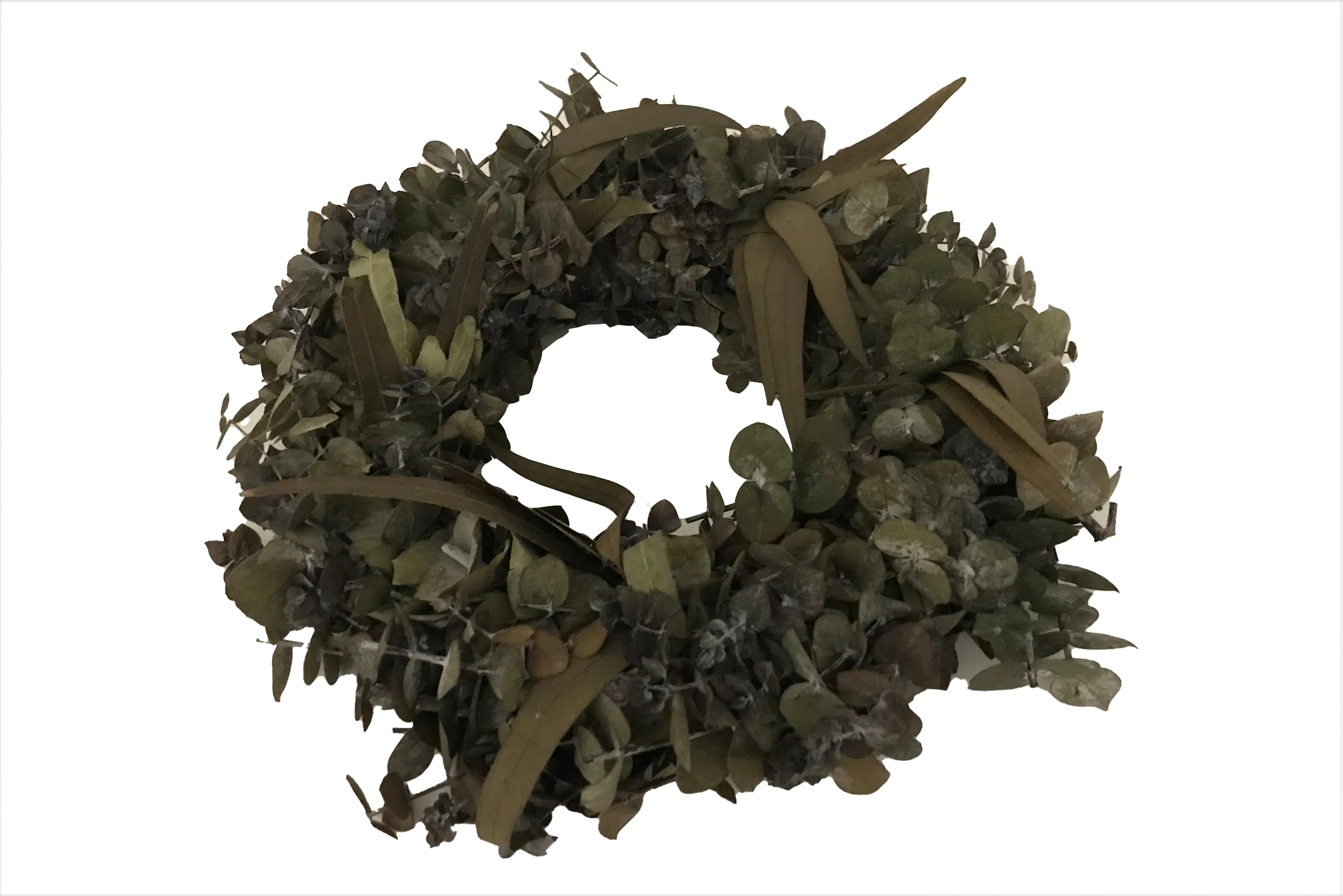 Freese Eukalyptus-Kranz "Römer" Ø 30 cm, präpariert