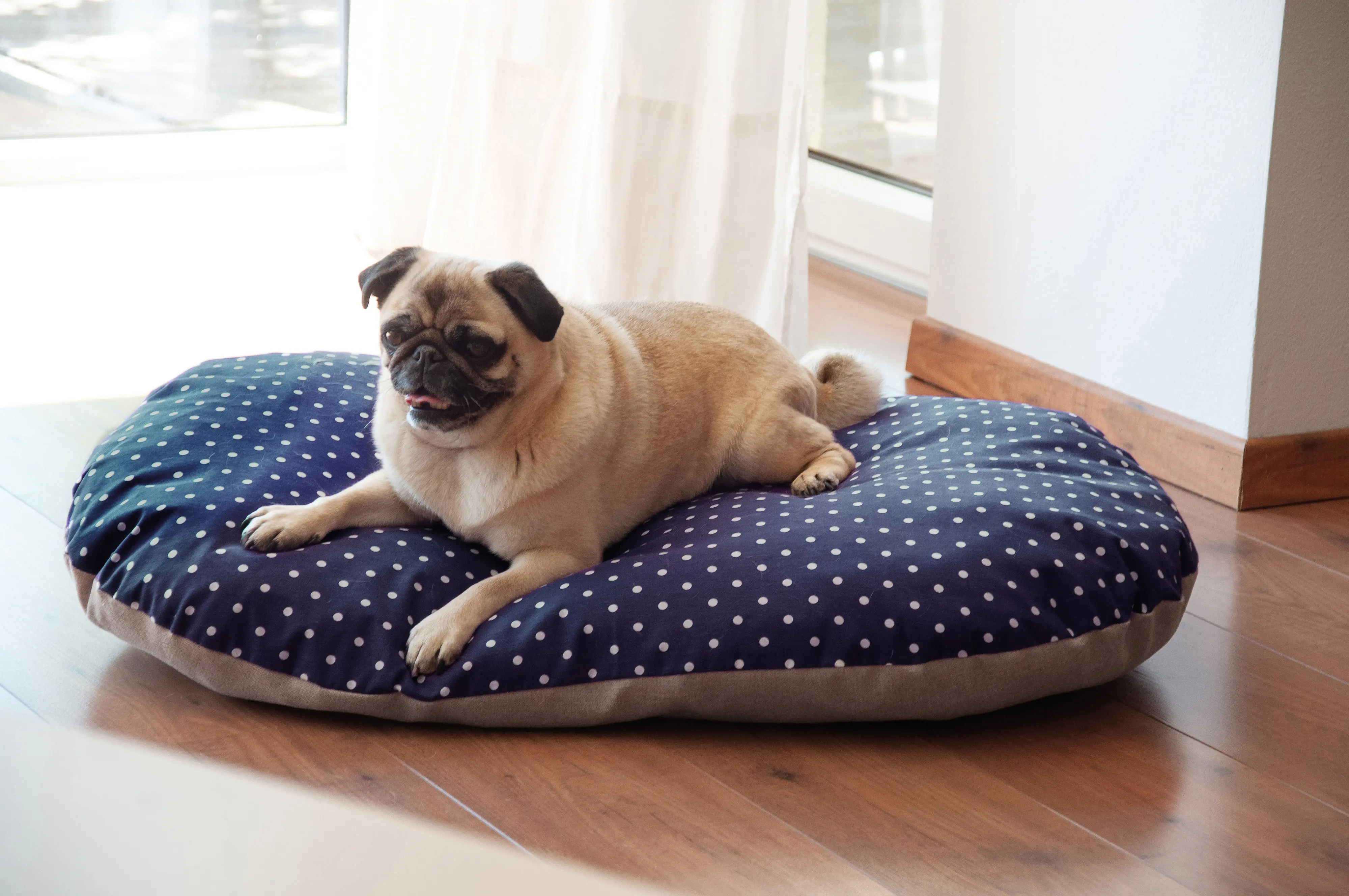 Aumüller Hundekissen Dots 55 x 40 x 10 cm dunkelblau beige