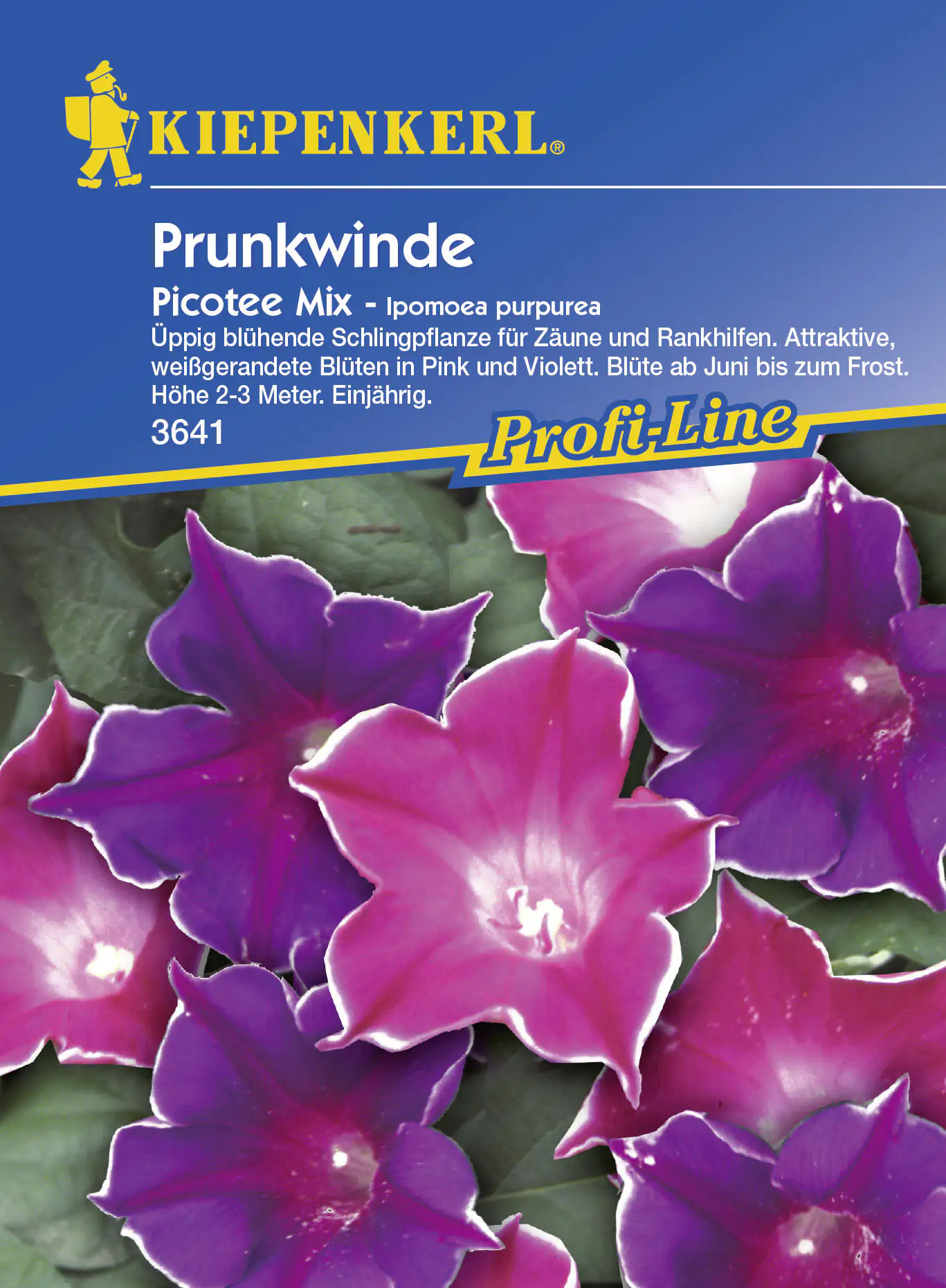 Kiepenkerl Prunk. Trichterwinde Picotee Ipomoea tricolor, Inhalt: ca. 20 Pflanzen