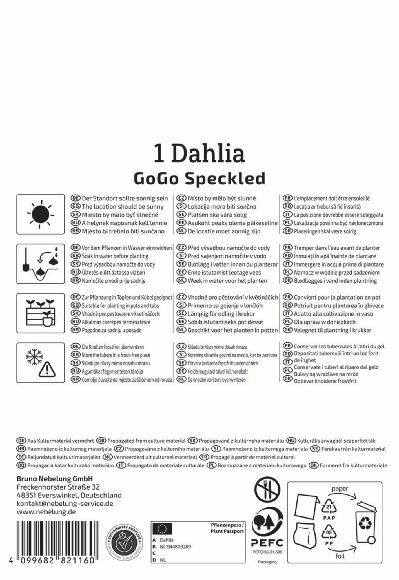 Kiepenkerl Frühjahrsblumenzwiebel Beet- & Kübel-Dahlie Go Go Speckled 1 Stück