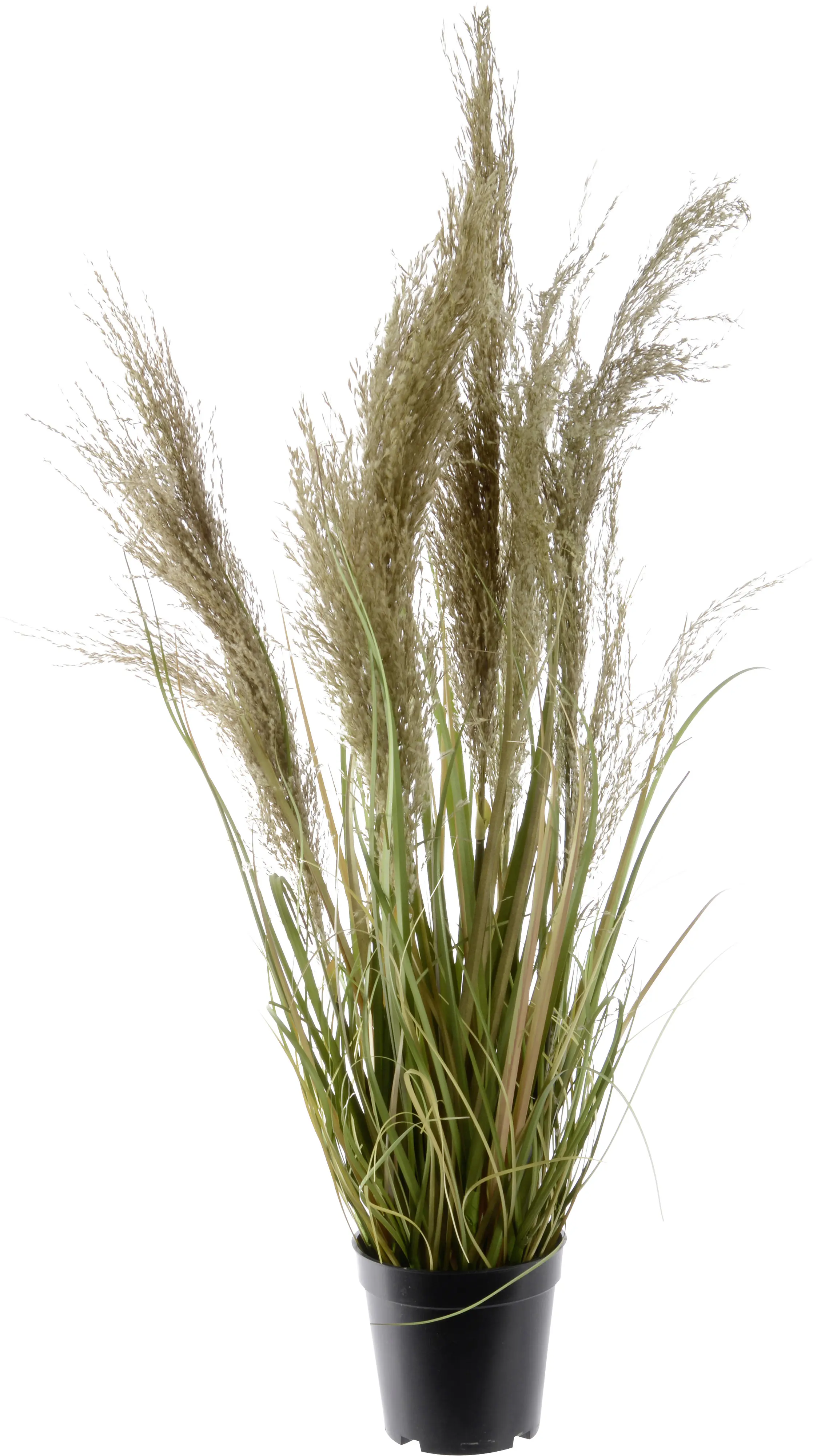 Kaemingk künstliche Graspflanze mit Federn im Topf 85 cm