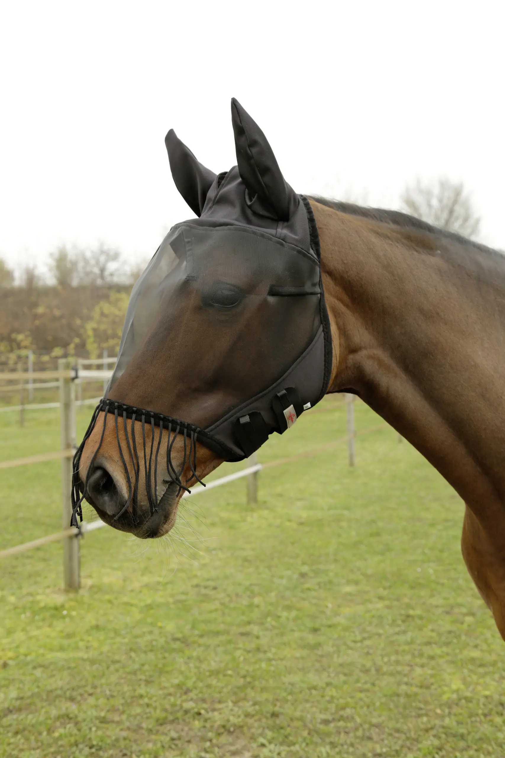 Kerbl Covalliero Fliegenschutzmaske Cob mit Ohrenschutz & Nüsternkordel
