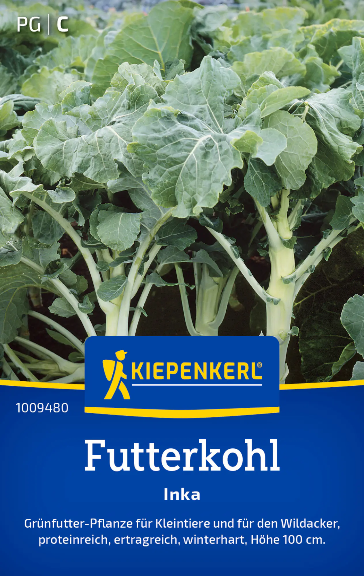 Kiepenkerl Saatgut Futterkohl Inka für ca. 250 Pflanzen